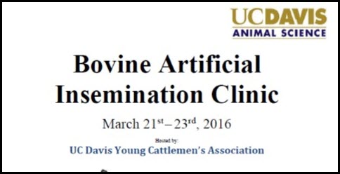 Bovine Artificial Isemination Clinic