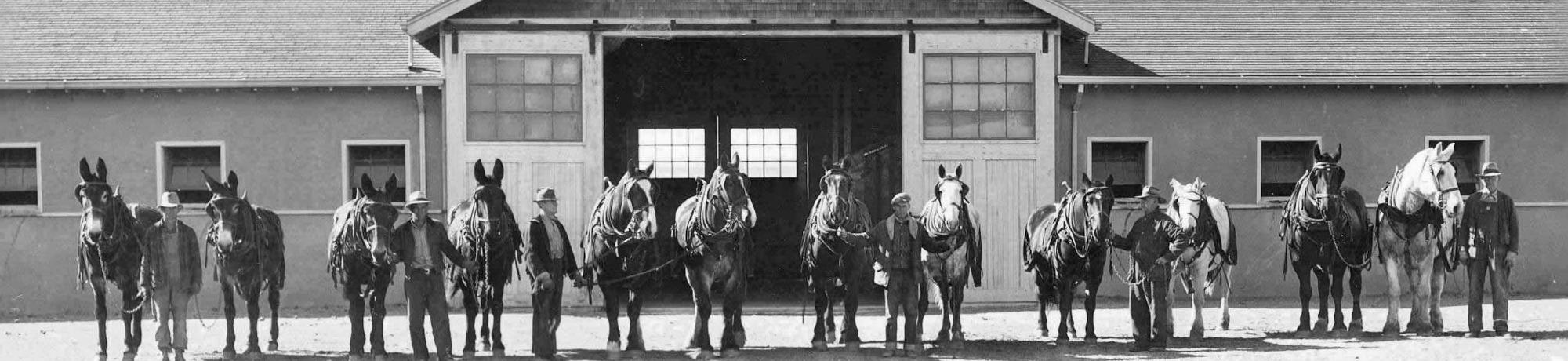 Horse Barn 1920s