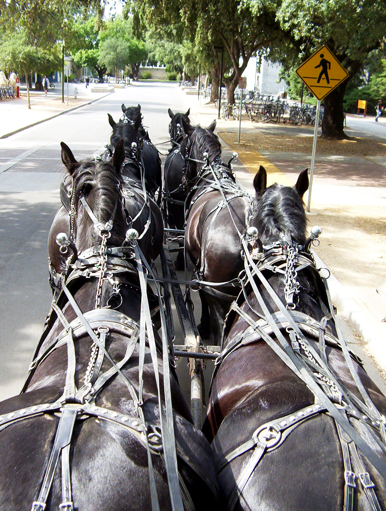 Horses pulling a cart