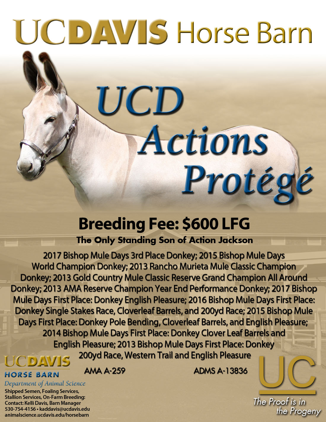 UCD Actions Protege