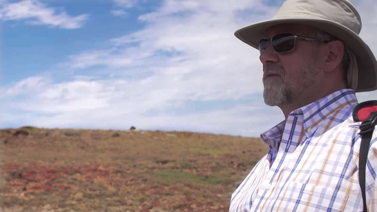 Jim Murray, geneticist and chair of the UC Davis animal science department