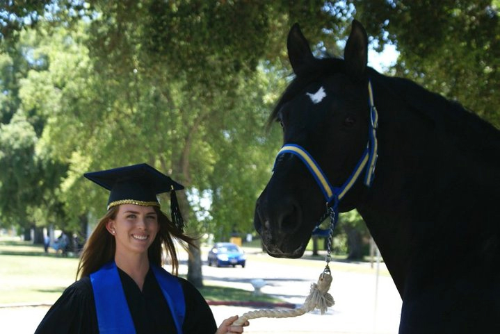 A graduate student and a horse