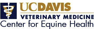 UC Vet Med Center for Equine Health