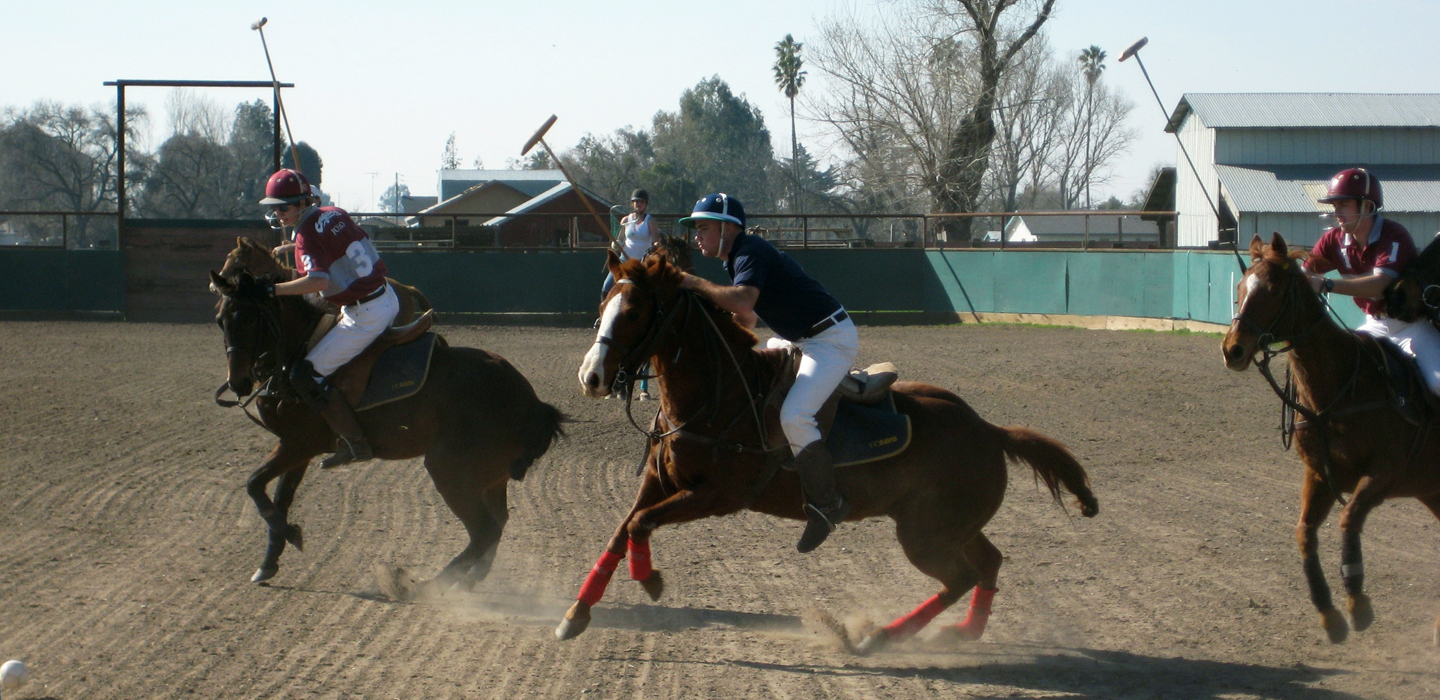 Horces and humans playing polo