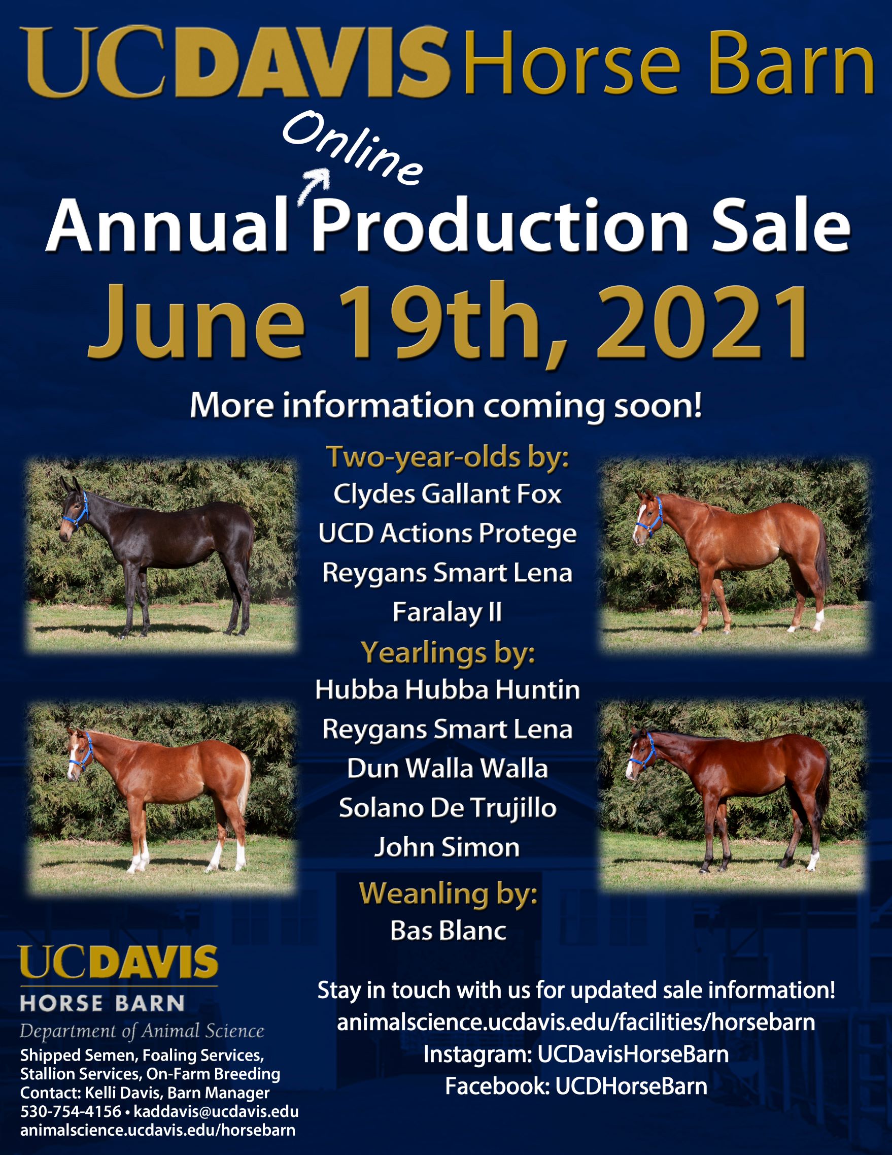 2021 Horse Sale Announcement Flyer