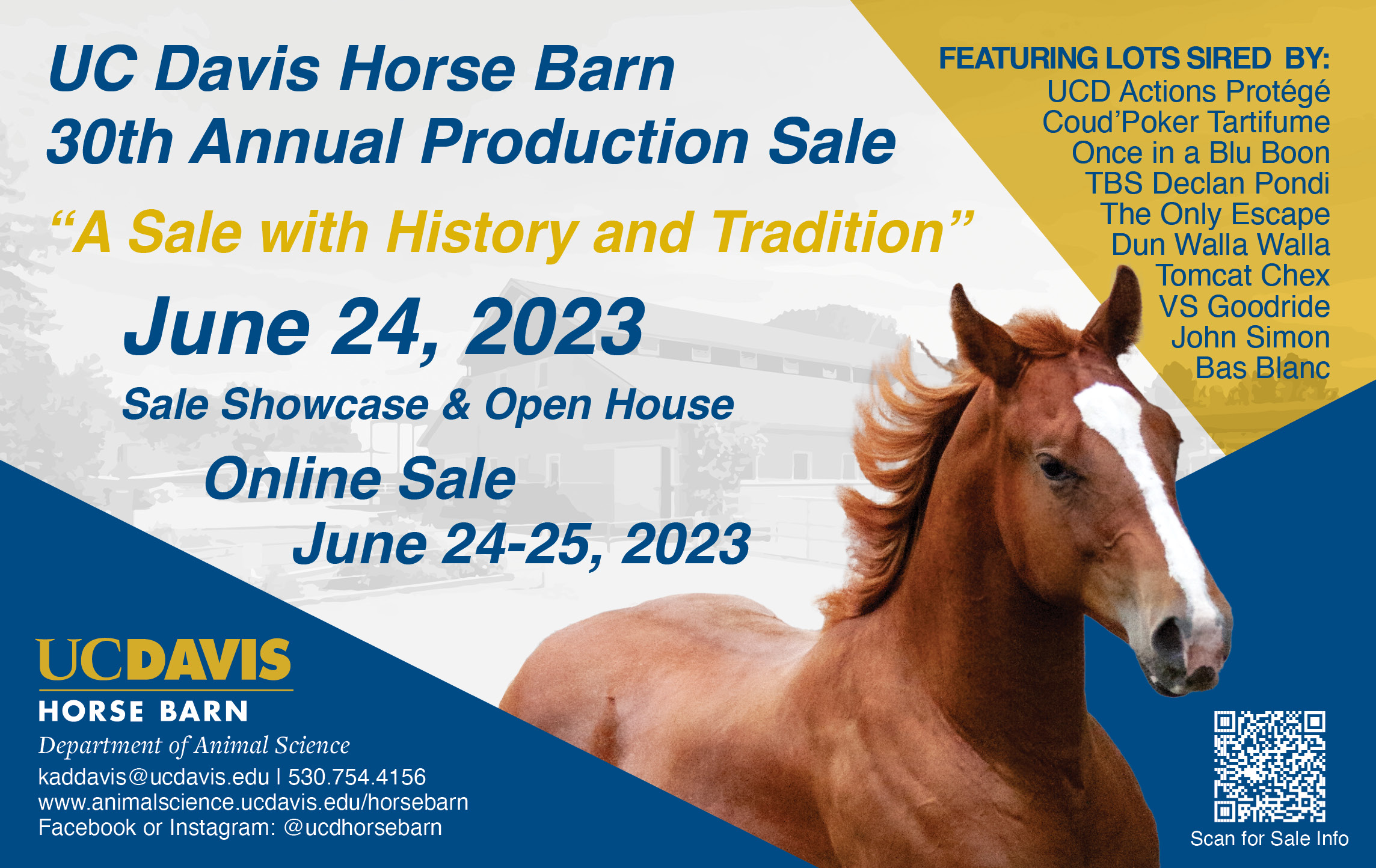 Sales ad. Text reads: UC Davis Horse Barn 30th Annual Production Sale. "A Sale with History and Tradition". June 24, 2023. Sale Showcase & Open House, Online Sale June 24-25, 2023. Featuring lots sired by: UCD Actions Protege, Coud'Poker Tartifume, Once in a Blu Boon, TBS Declan Pondi, The Only Escape, Dun Walla Walla, Tomcat Chex, VS Goodride, John Simon, and Bas Blanc. UC Davis Hose Barn, Department of Animal Science. Contact: kaddavis@ucdavis.edu, 530-754-4156, www.animalscience.ucdavis.edu/horsebarn