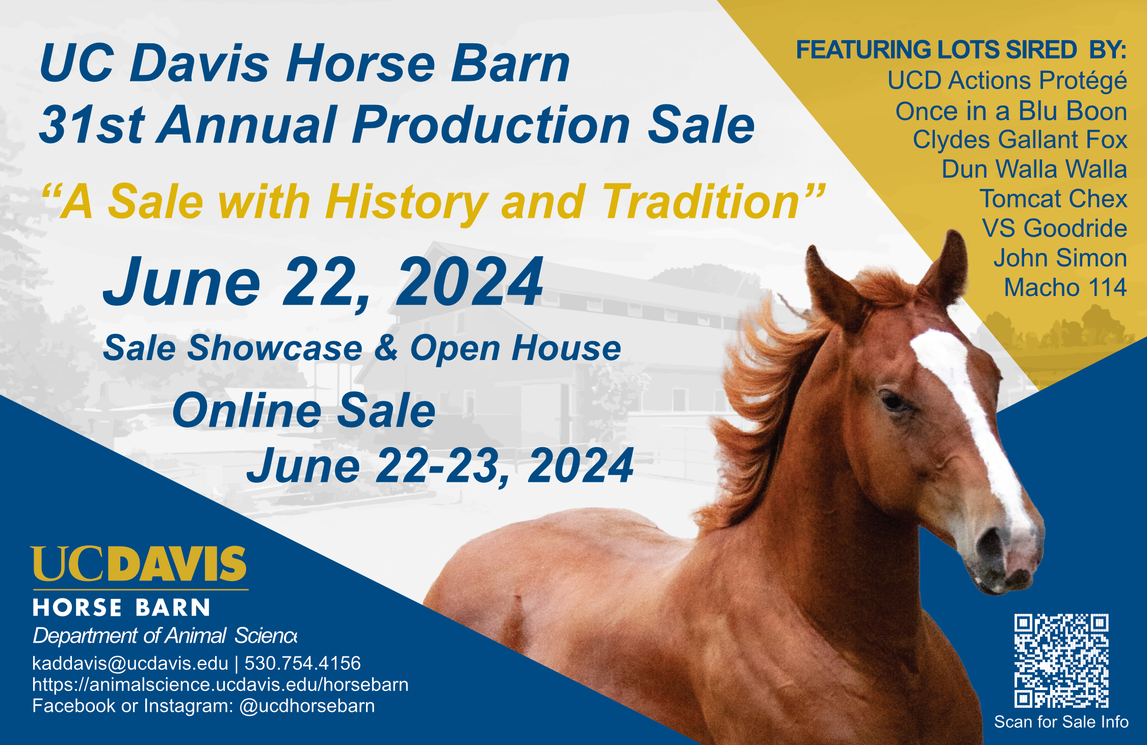 Horse Barn 2024 sale advertisement