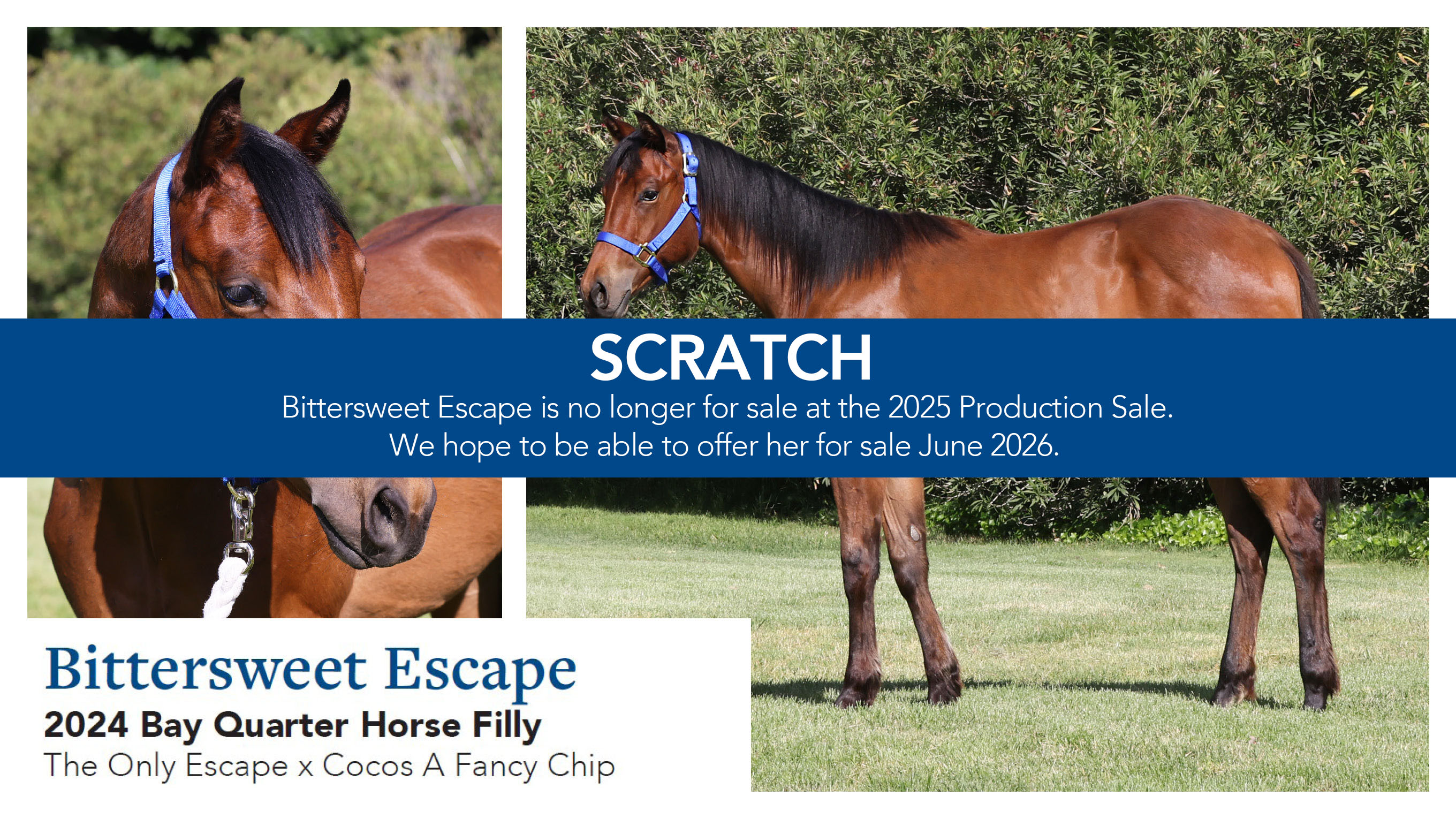 Scratch lot 5