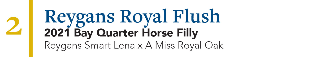 Text that reads: 2. Reygans Royal Flush, 2021 Bay Quarter Horse Filly, Reygans Smart Lena x A Miss Royal Oak