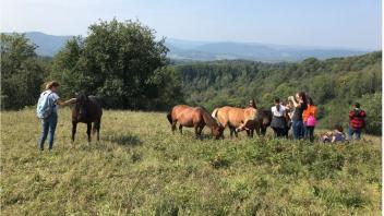 Equine Management and Welfare group in Poland