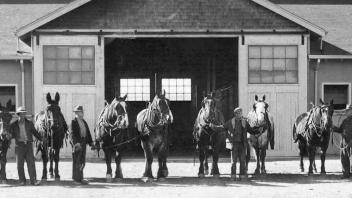 UC Davis Horse Barn