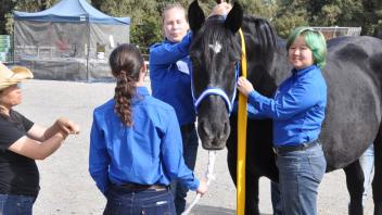 Scenes from Horse Day 2015