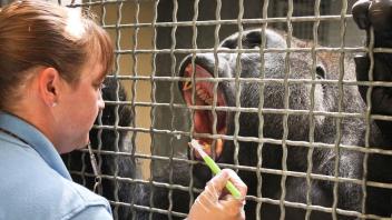 A Day in the Life of a Zookeeper