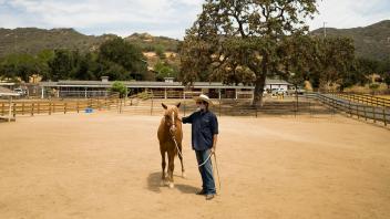 Lou Gonda, owner of El Campeon Farms, pets a Santa Cruz Island horse in Thousand Oaks, Calif. UC Davis researchers are working with El Campeon Farms to preserve the Santa Cruz Island horse, which for centuries lived on the Channel Islands.