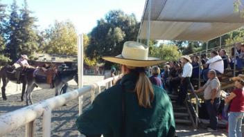 Demo at the 6th Annual Donkey Welfare Symposium at the Cole Facility