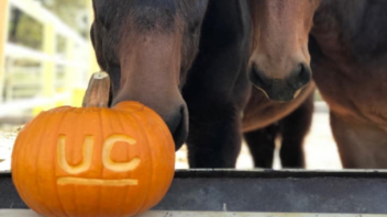 Happy Halloween: Thank you, Kelli Davis for sharing this great picture!