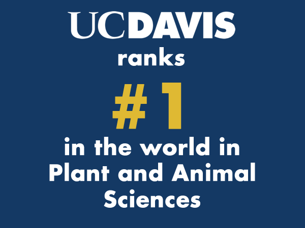 UC Davis ranks #1 in the world in plant and animal sciences