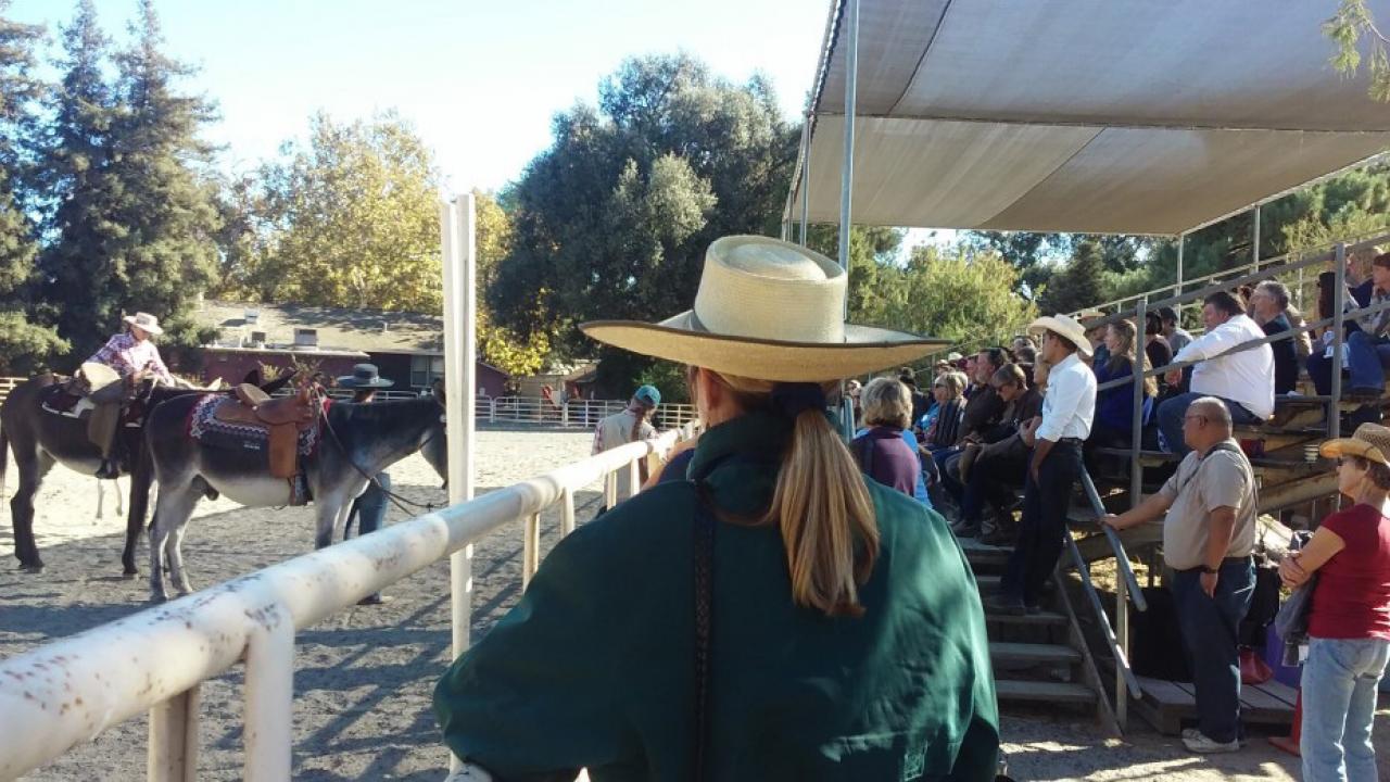 Demo at the 6th Annual Donkey Welfare Symposium at the Cole Facility