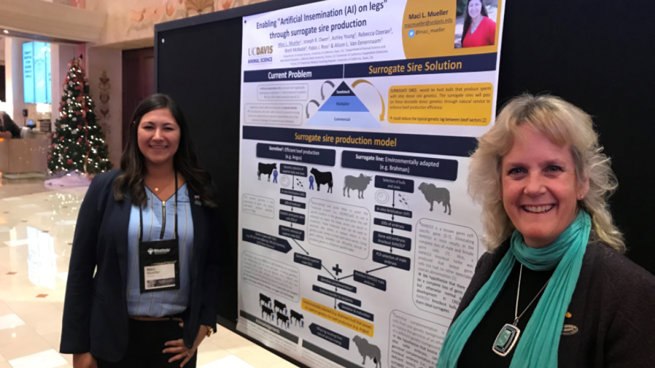 UC Davis Department of Animal Science Department News and Updates