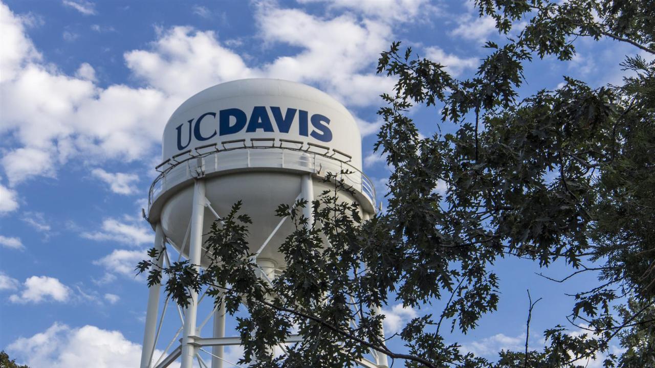 UC Davis ranks first in the world in Plant and Animal Sciences