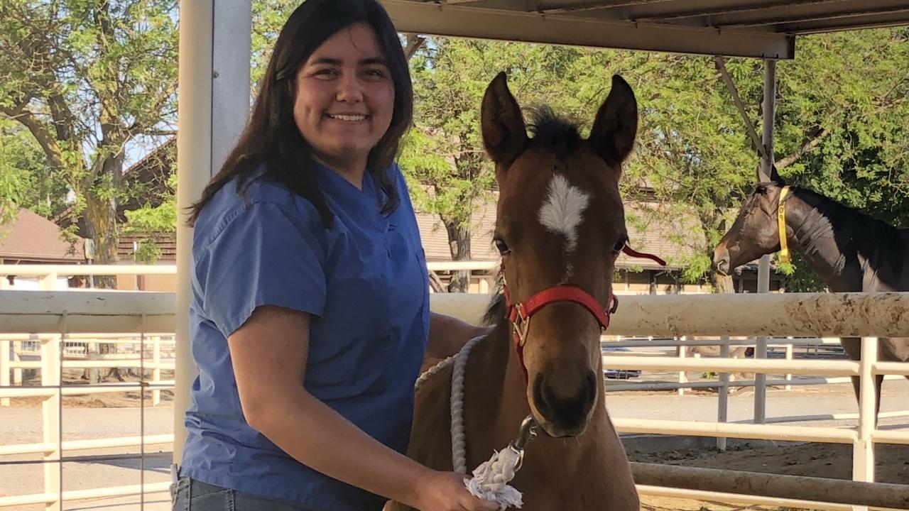 Student intern with foal