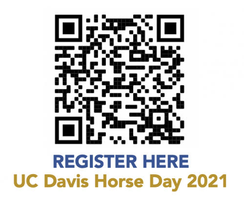 QR Code for Horse Day registration
