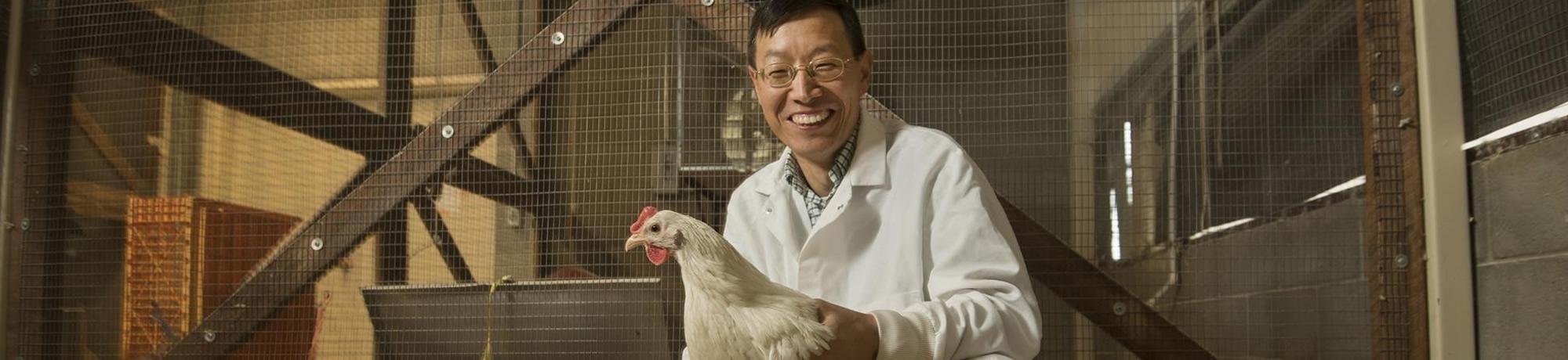 avian