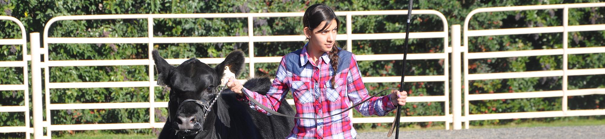 Animal Science And Management Major Uc Davis Department Of Animal Science